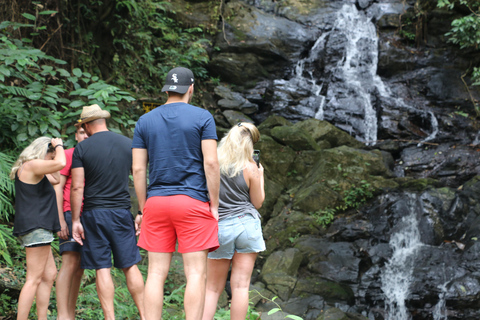 Khao Lak: Tagestour zum Elefantenbaden und Bambus-Rafting