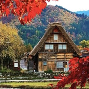 Shirakawa-go and Takayama Full Day Private Car Tour.