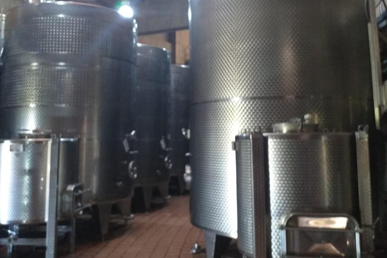 Viña Haras de Pirque Wine Experience