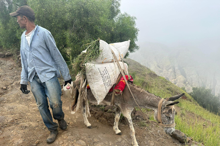 Santiago Island: Highlights Tour with Guide