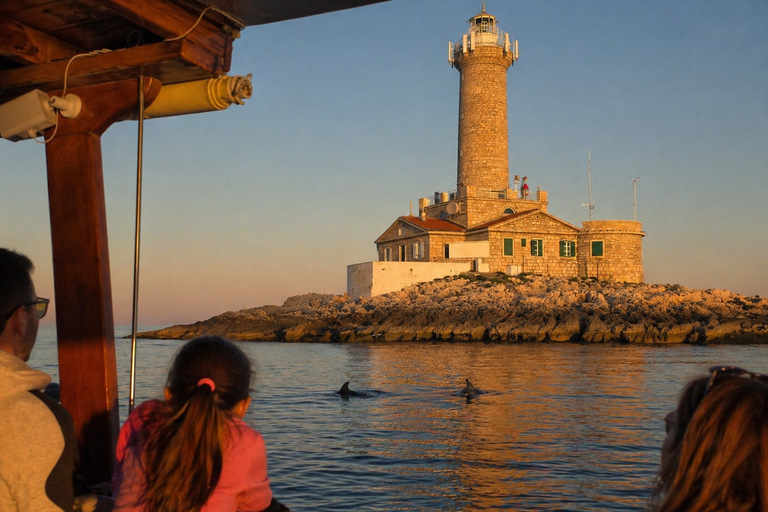 Medulin: 3h Ultra ALL-INCLUSIVE Sunset Dolphin Boat trip 3hours Dolphin Sunset watching with drinks+dinner sandraboat