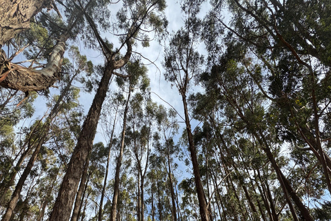 Itinéraire andin : danses, culture et points de vue de CuzcoRoute andine : danses, culture et points de vue de Cuzco