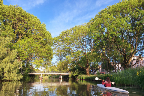 Utrecht Canoe Escape: Nature, Birds & Local Tastes
