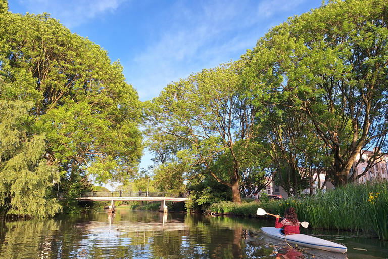 Utrecht Canoe Escape: Nature, Birds & Local Tastes