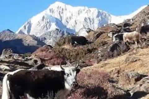 Kathmandu: 8 Night 9 Days Dudh kunda Trek