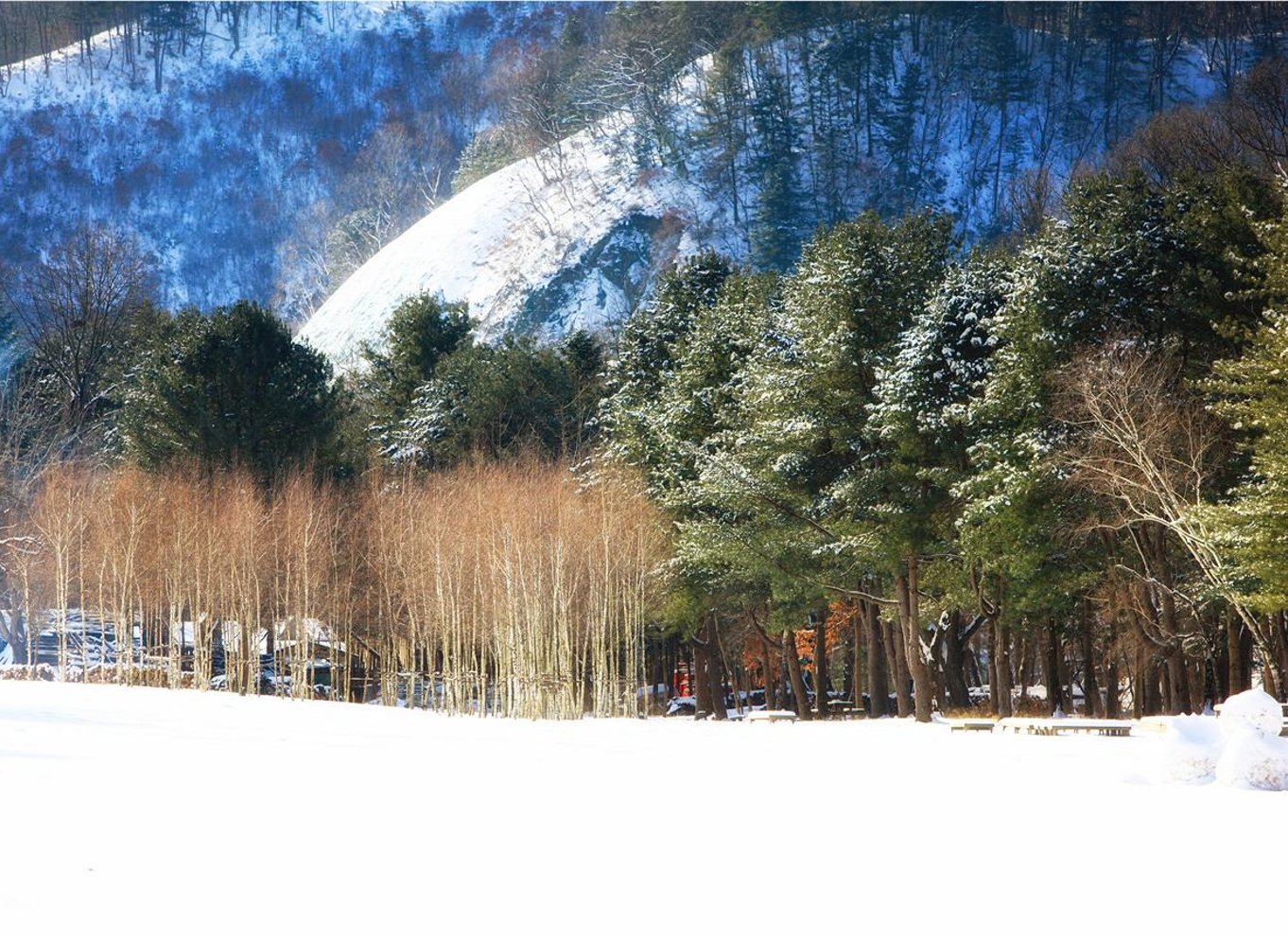 Fra Seoul: Dagstur til Seoraksan Nationalpark og Nami Island