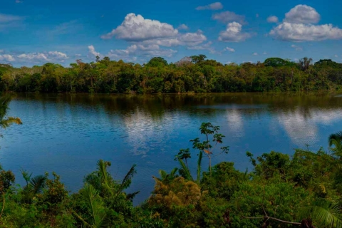 Tambopata: Lago Sandoval i Colpa of Loros 3-dnioweEco dżungla 3 dni 2 noce