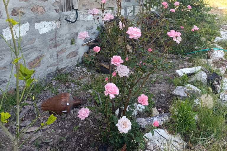 Rustic cooking day at Bodrum country home