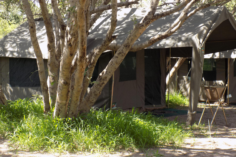 Desde la reserva de caza de Moremi: safari de 5 días por el Parque Nacional de Chobe.Desde la reserva natural Moremi: safari de 5 días por el Parque Nacional Chobe
