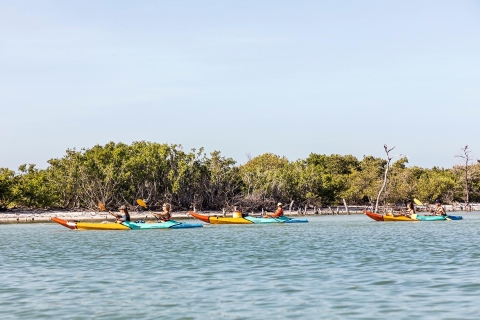 Holbox: Kajakken met gids door de mangroven van HolboxHolbox: begeleid kajakken door de mangroven van Holbox