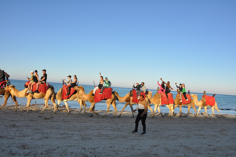 DJERBA: KAMEEL EN PAARD (2U30).