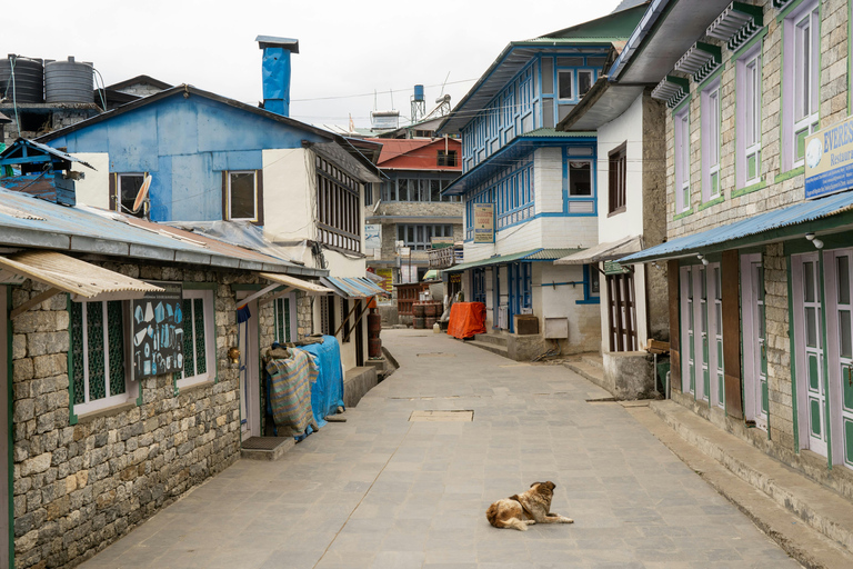 Nepal: Gokyo Lakes & Everest Base Camp Trek | Eco-Certified|