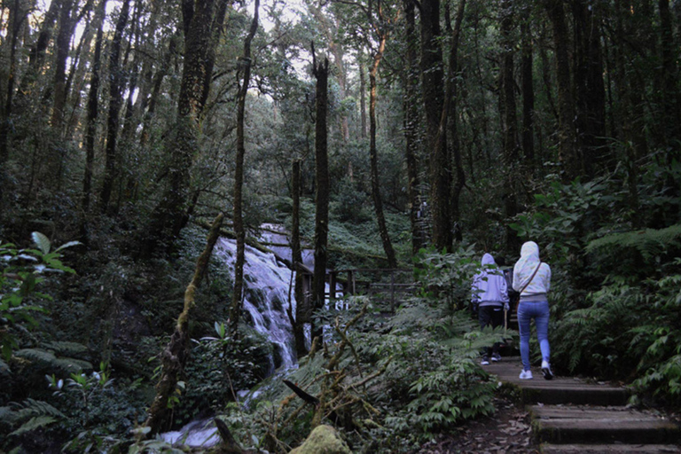 Doi Inthanon Nationalpark &amp; Wanderung Kew Mae Pan Naturpfad