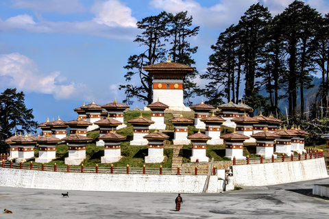 From Paro or Thimphu: Bhutan Viewpoints Guided Day Tour
