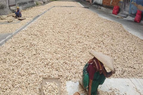 Kochi: Tuk-Tuk-Ausflug mit versteckten SchätzenKochi: Ausflug mit dem Tuk-Tuk zu versteckten Schätzen