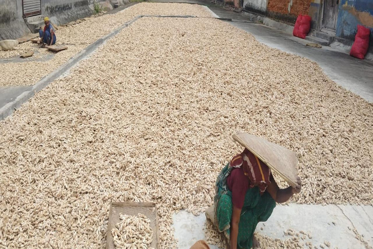 Kochi: Tuk-Tuk-Ausflug mit versteckten SchätzenKochi: Ausflug mit dem Tuk-Tuk zu versteckten Schätzen