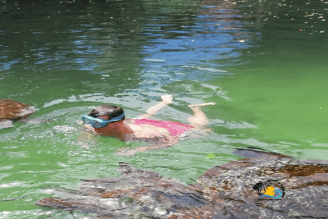 Zanzibar: Nungwi Kilosa Zoo &amp; Swimming witĥ Turtles