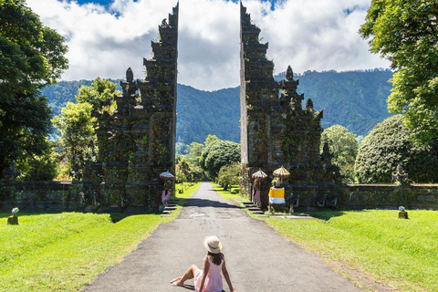 Bali: North Bali Waterfalls Private Tour with Guide