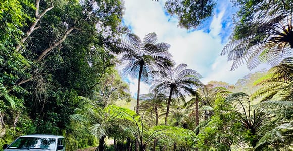 Funchal: 4x4 Jeep Trip in den Osten und Nordosten Madeiras