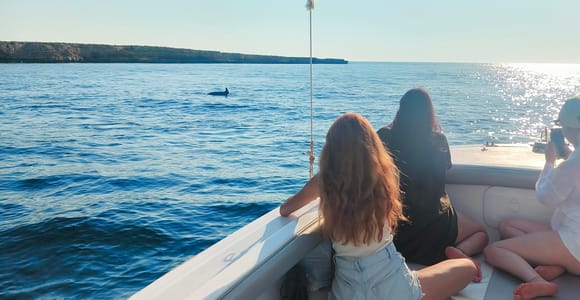 Excursion d&#39;observation des dauphins et snorkeling dans la baie de Saint-Paul