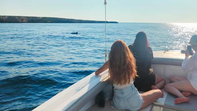 Wycieczka z obserwacją delfinów i snorkelingiem w St. Paul