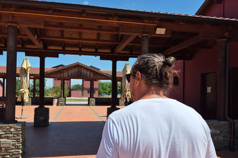 Golubac And Viminacium Tour From Belgrade
