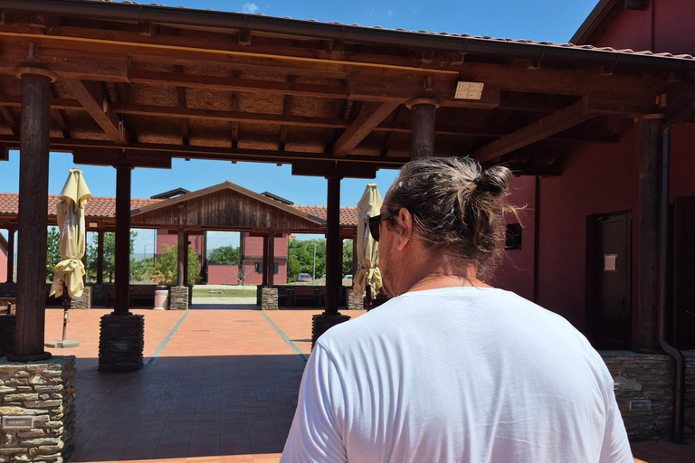 Golubac And Viminacium Tour From Belgrade