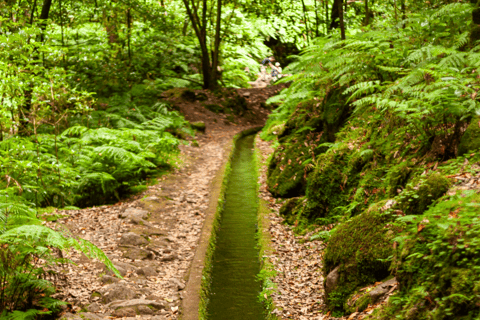 Madeira: PR 18 - Caminhada na Levada do Rei com TransferesMadeira: Caminhada na Levada do Rei com Transferes