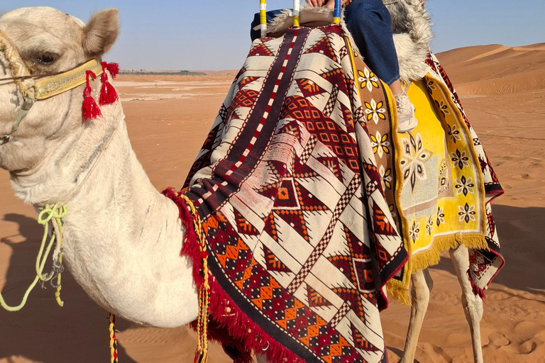 Dune di sabbia del deserto : Riyadh