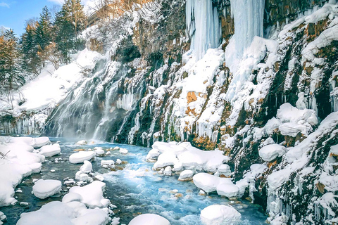 Sapporo: Blue Pond & Ningle Terrace Illumination, Biei Tour 10:40 – Departure：Sapporo Station North Exit Bus Parking Lot