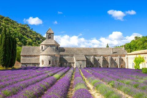 Paris/Barcelona: 7-Day French & Spanish Flavors Coach Tour Joining from Barcelona on Sunday