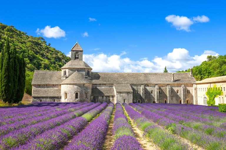 Paris/Barcelona: 7-Day French & Spanish Flavors Coach Tour Joining from Paris on Thursday