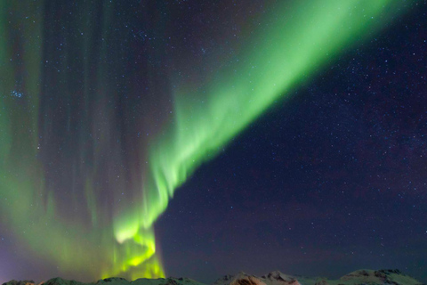 Da Svolvær: Tour guidato dell&#039;aurora boreale in van