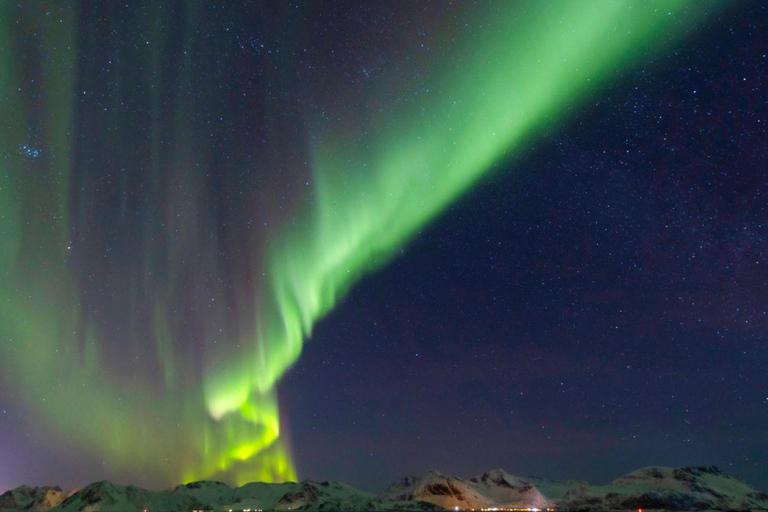 Da Svolvær: Tour guidato dell&#039;aurora boreale in van