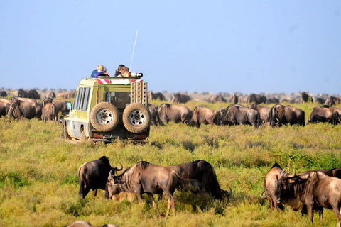 3-Daagse Masai Mara & Lake Naivasha Safari met 4x4 Jeep3 dagen Masai Mara -Verblijf Mara Jambo Lodge