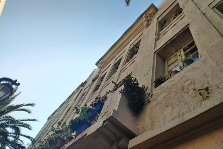 Santiago : Yungay, mémoire, art et visite à pied du quartier