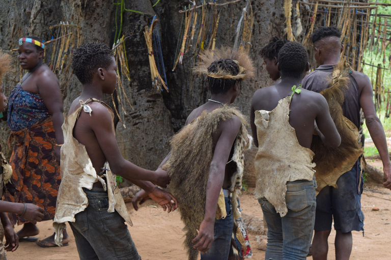 Tarangire-Nationalpark &amp; Eyasi-See (Datoga- &amp; Hadzabe-Dörfer)Premium Lodge im Tarangire-Nationalpark