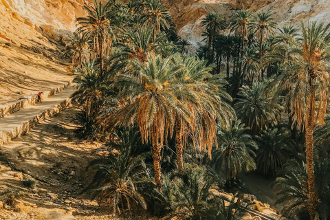 Tunisia: 11-Day Guided Tour with Sahara Desert Camp Carthage