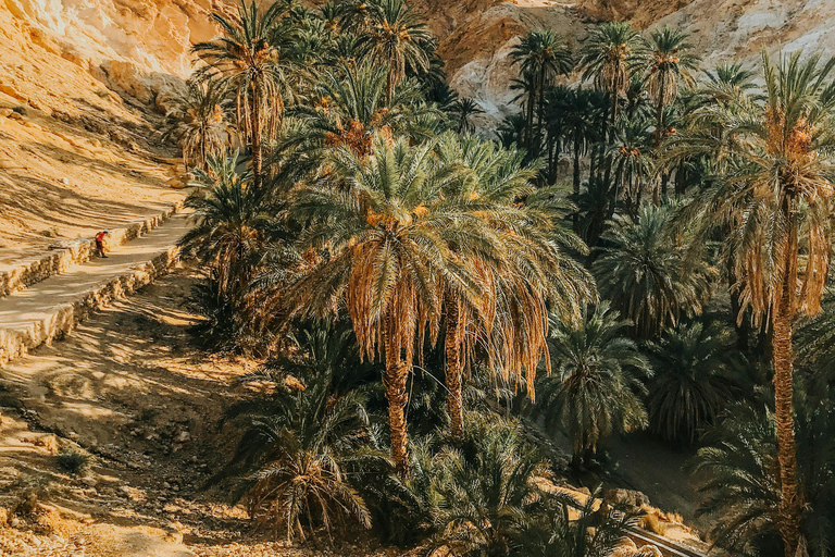 Tunisia: 11-Day Guided Tour with Sahara Desert Camp Carthage