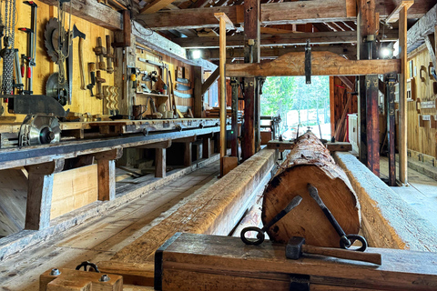 جولة بدراجة كهربائية في وادي روزنلاوي من إنترلاكن