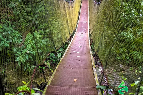 Puntarenas: Rainmaker Park Guided Tour with Lunch