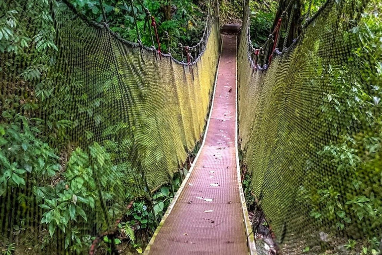 Puntarenas: Rainmaker Park Guided Tour with Lunch