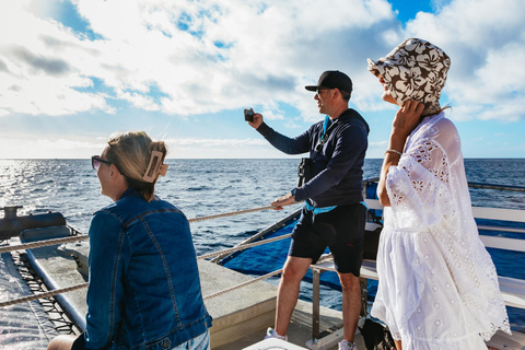 Honolulu, Oahu: Waikiki Whale Watching Cruise