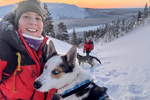 Äkäslompolo: Husky Trail Walk, Walk 1:1 with Your Own Husky Meet at the meeting point in Äkäslompolo
