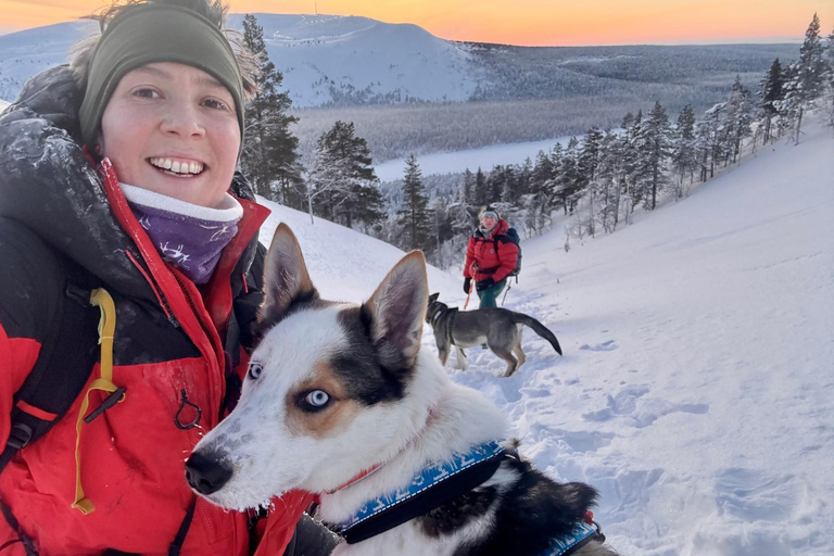 Äkäslompolo: Husky Trail Walk, Walk 1:1 with Your Own Husky Meet at the meeting point in Äkäslompolo
