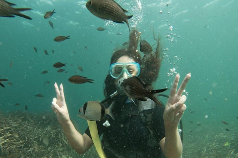Hammamet: Guided Shore Dive for Beginners with Gear
