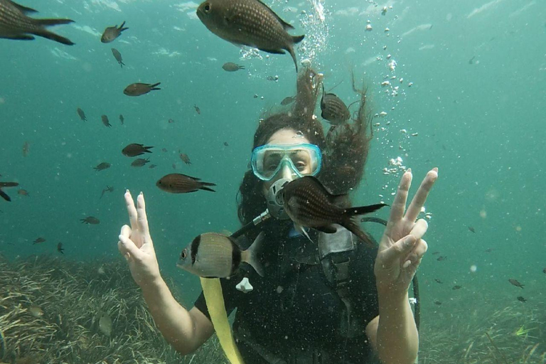 Hammamet: Guided Shore Dive for Beginners with Gear