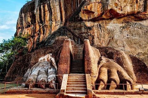 Sigiriya, Dambulla, Village Safari Day Tour including lunch