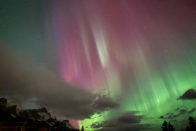 Banff Night Sky: Northern Lights and/or Stargazing Tour