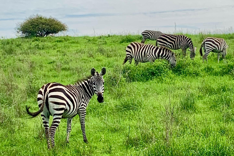 Nairobi National Park und Giraffe Center Tour Erlebnis